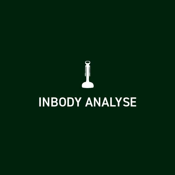 Inbody Analyse